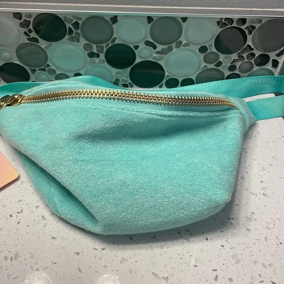 Nwt Stoney Clover Lane for Target mint green Fanny pack - Picture 4 of 9